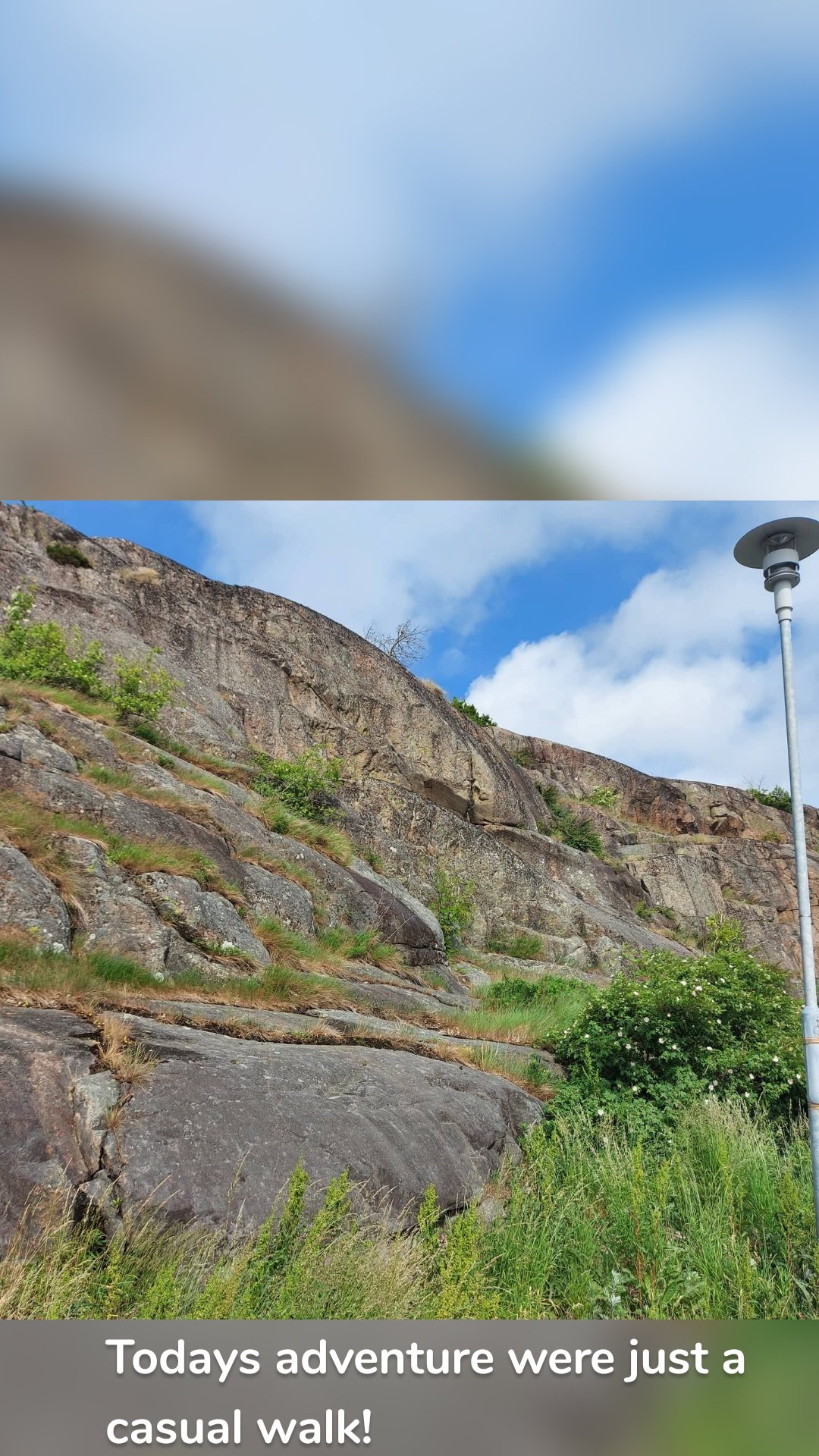 Todays adventure were just a casual walk!